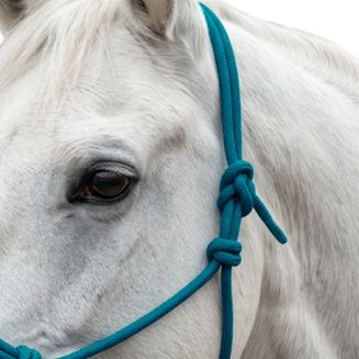 Kantar wykonano z mocnej liny o grubości 0,7 cm, będącej połączeniem bawełny i włókna poliestrowego. Jednoczęściowe zaplecenie zwiększa trwałość całej konstrukcji.