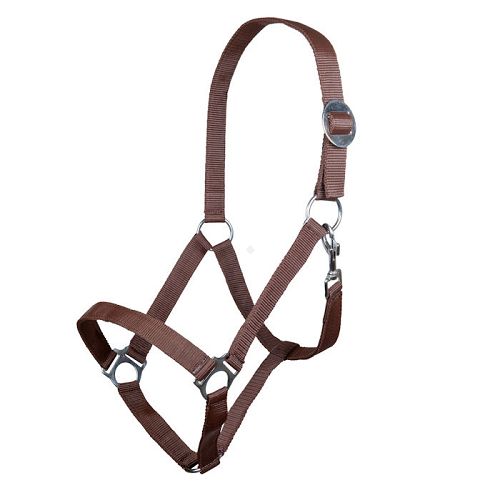 Kantar taśmowy HKM Stars Economy  Brown / 66143