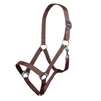 Kantar taśmowy HKM Stars Economy  Brown / 66143