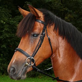 STALLION-NY Wędzidło przelotowe pełne z łącznikiem - argentan / Istnieje kilka możliwości zapięcia wędzidła