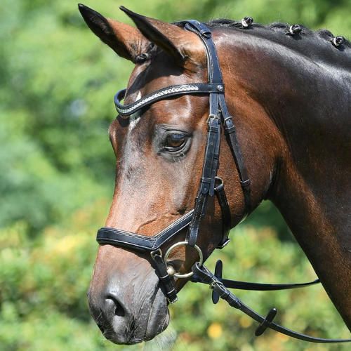 0 Ogłowie anatomiczne BUSSE Modena  / 120907