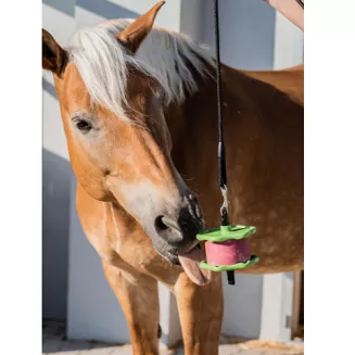 Naturalna lizawka LOLLY-LICK Owoc dzikiej róży / 750g - 3