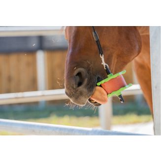 Naturalna lizawka LOLLY-LICK Owoc dzikiej róży / 750g - 4