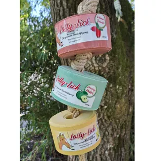 Naturalna lizawka LOLLY-LICK Owoc dzikiej róży / 750g - 5