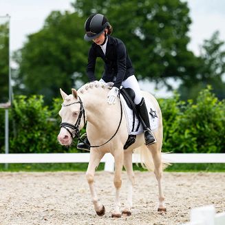 Rajtrok-Frajk jeździecki młodzieżowy QHP Jipp
Kolor Black - czarny