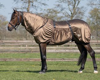 Derka na egzemę QHP Brown / 6060 - 2