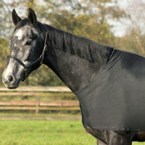 QHP Chest Protector Lycra / 5106