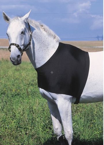 EQUI-THEME Ochraniacz elastyczny na klatkę dla konia - czarny / 400400