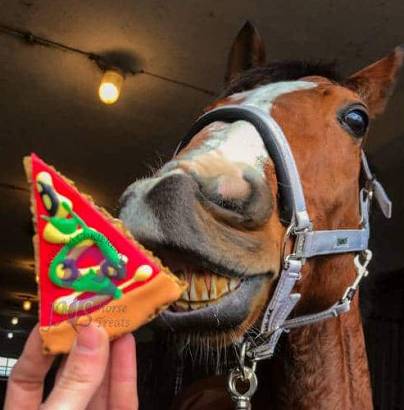 Pizza Slice KOŃSKA CUKIERENKA a treat for the horse / 35g