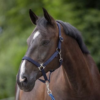 Webbing Halter COVALLIERO Hippo Navy Blue / 32221 - 2