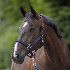 Webbing Halter COVALLIERO Hippo Navy Blue / 32221