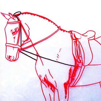 Wodza pomocnicza do pracy z koniem podczas lonżowania i do jazdy.