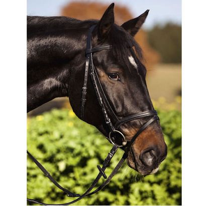 Bridle COVALLIERO Standard / 3217