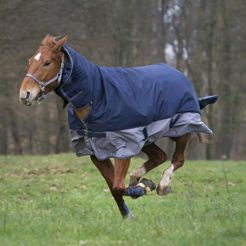 Turnout rug EQUI-THÈME TYREX 600D / 400918