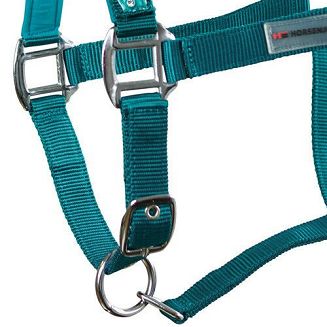 Halter HORSENJOY Glitter Turquoise - 4