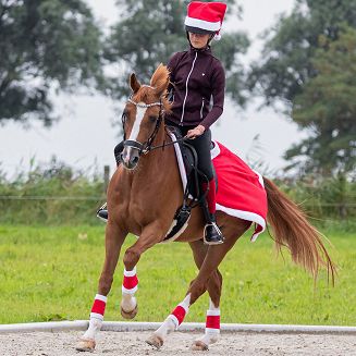Ozdobne bandaże Mikołajkowe na nogi konia.