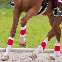 Bandages Christmas QHP (set of 4) / 4024