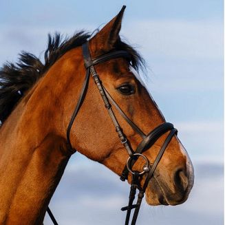 RIDING WORLD bridle with flash noseband Noir / 301009 - 2