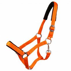 Padded tape halter MUSTANG orange / 0002