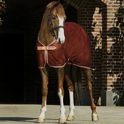 Horses Rugs HORSEWARE Amigo® Net Cooler / ACRN24