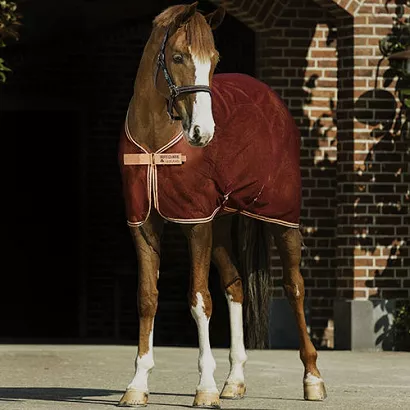 Horses Rugs HORSEWARE Amigo® Net Cooler / ACRN24