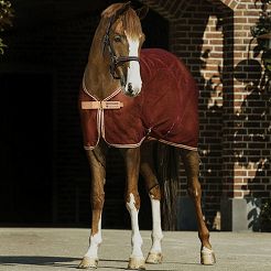 Derka siatkowa HORSEWARE Amigo® Net Cooler, przeciw owadom  / ACRN24