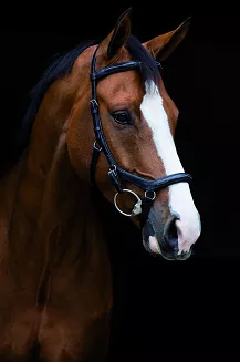 HORSEWARE Ogłowie anatomiczne RAMBO MICKLEM Deluxe Competition / SBAB5F - 2