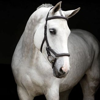 HORSEWARE Ogłowie anatomiczne RAMBO MICKLEM Deluxe Competition - dark havana