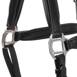Leather halter DELEMONT - black - 5