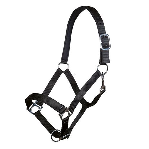 Head collar soft padding HKM Stars Black / 6613