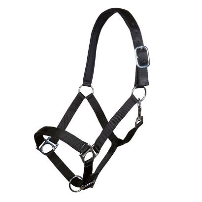 Head collar soft padding HKM Stars Black / 6613