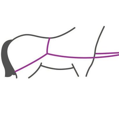 QHP  Trailer loading line  / 1059