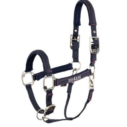 Halter BR Angel / 432303