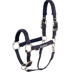 Halter BR Angel / 432303