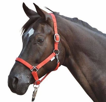 Head collar soft padding  HKM Stars Red / 6613