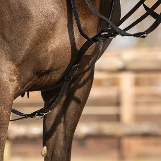 Thiedemann Rein Set QHP Black / 2216 - 3