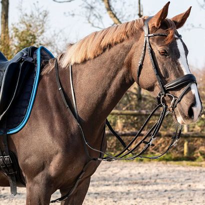 Thiedemann Rein Set QHP Black / 2216