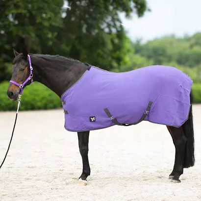 Derka stajenna SANTI bawełniana, Purple