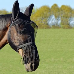 Fly mask York with fringe