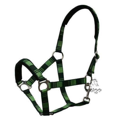 MUSTANG Padded headcollar EUROPA with rope / 0027