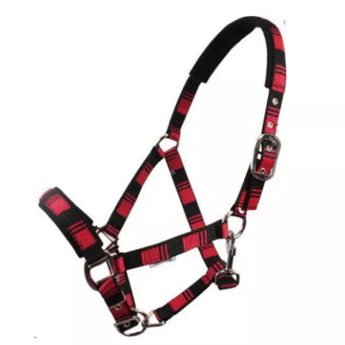 MUSTANG Padded headcollar EUROPA with rope / 0027