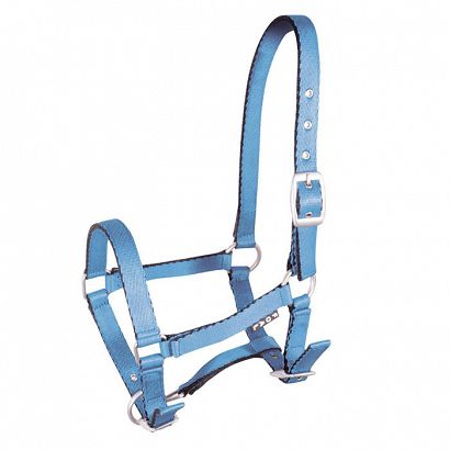 Foal halter