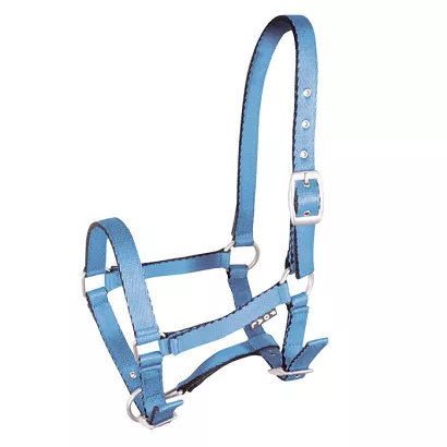 Foal halter