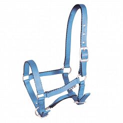 Foal halter