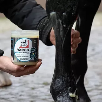 LEOVET GEL for horses 600ml / 030503 - 2