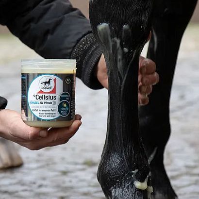 LEOVET GEL for horses 600ml / 030503