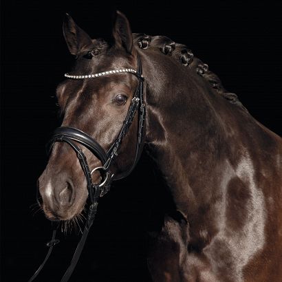 Bridle HKM Bella / 12983