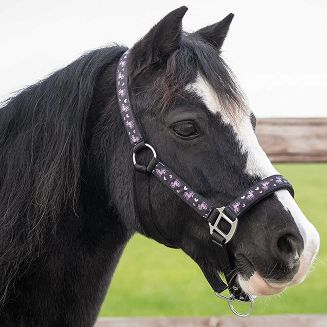 Nylon padded Halter QHP Lize, Black-Violet / 1200 - 2