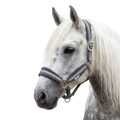 Web Halter MUSTANG  with Fleece Padding, Grey MADE IN POLAND