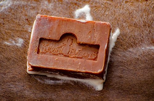 Natural Dermatological Soap KEVIN BACON'S Active Soap –  for Horses, Dogs, Cats and Humans